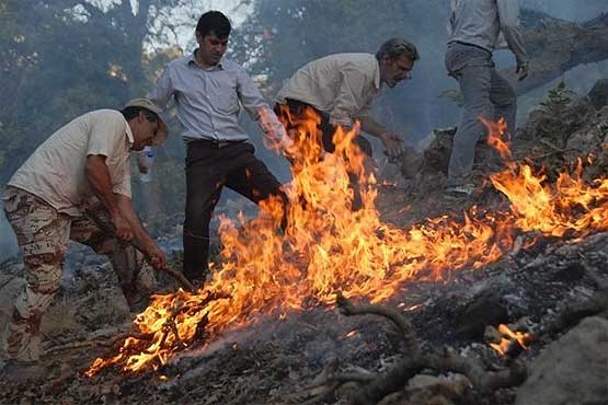 بسیج مردمی سدی در برابر آتش‌سوزی جنگل‌ها