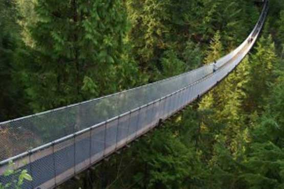 طولانی ترین پل شیشه ای جهان را ببینید