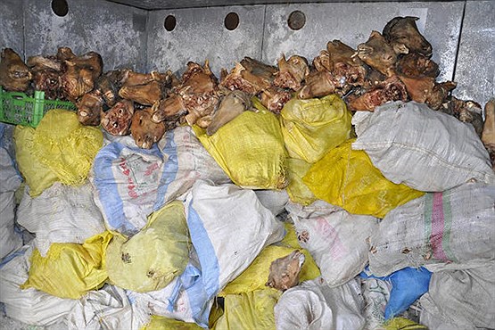 کشف 6 هزار کیلو گوشت فاسد در نجف آباد