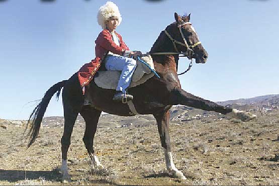 شیهه شادی اسب ترکمن