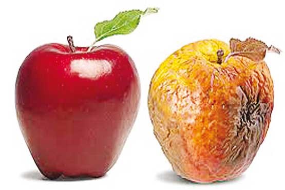 سبزی و میوه را چگونه نگهداری کنیم؟