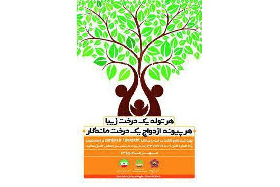 کاشت درخت به بهانه ازدواج + عکس