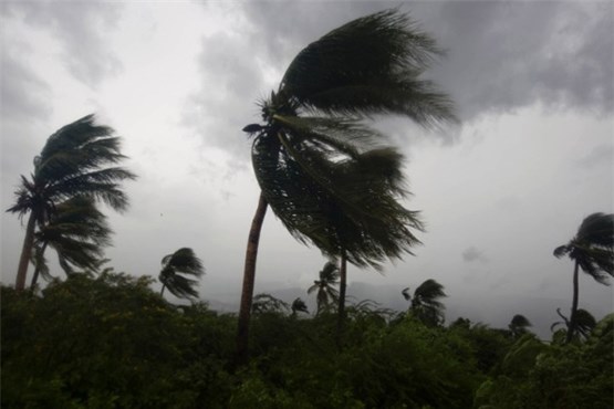 طوفان و گردباد به شبکه برق شهرستان دیلم 320 میلیون تومان خسارت زد