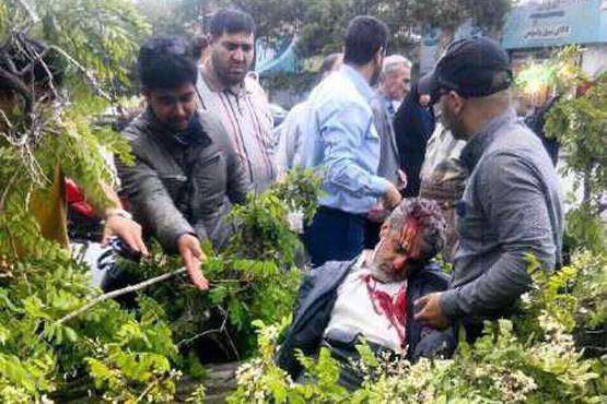 12 کشته و زخمی بر اثر سقوط درخت بر روی عزاداران +عکس