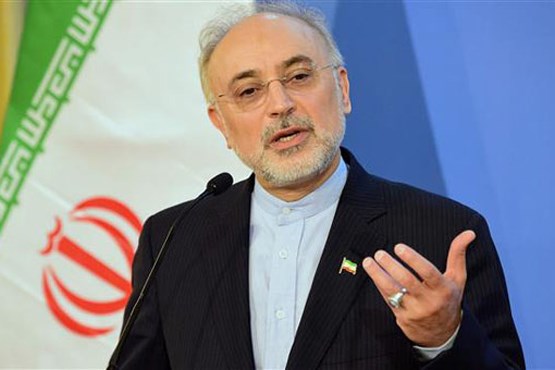 صالحی: واکنش ایران به نقض برجام شدید خواهد بود