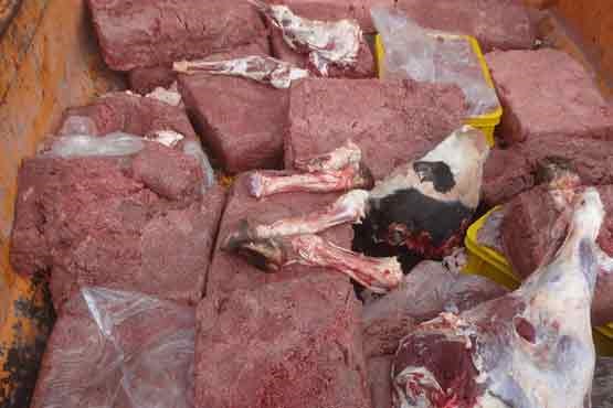 صدور حکم متهمان قاچاق گوشت های آلوده در بندرعباس