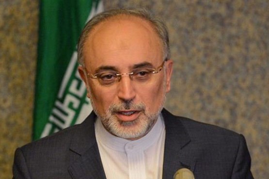 ایران تا دو ماه آینده رسما به ایتر می پیوندد