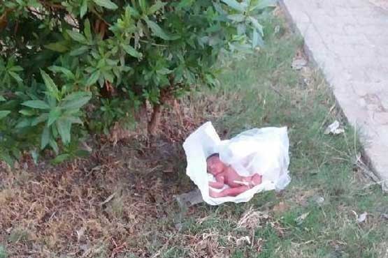 نوزاد دختر رها شده در فضای سبز در اهواز + عکس