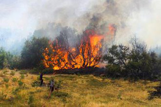 آتش‌ سوزی در جنگل‌های لاهیجان و لنگرود