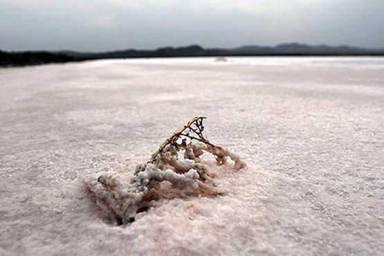 کمپین احیای دریاچه نمک تشکیل شد
