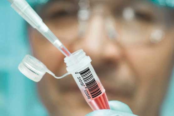 اولین واکسن اچ‌آی‌وی سال آینده آزمایش می‌شود