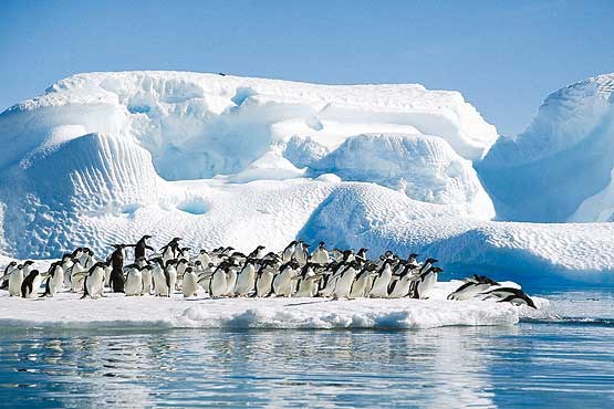 جنوبگان چگونه بر گرمایش جهانی اثر می‌گذارد؟