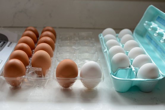 حقایقی علمی درباره تخم مرغ!