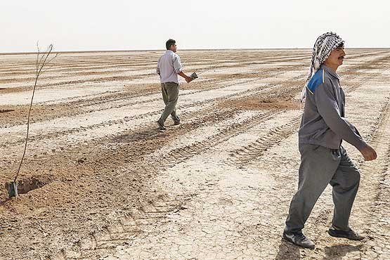خوزستان در حلقه طرح‌های ضد ریزگرد