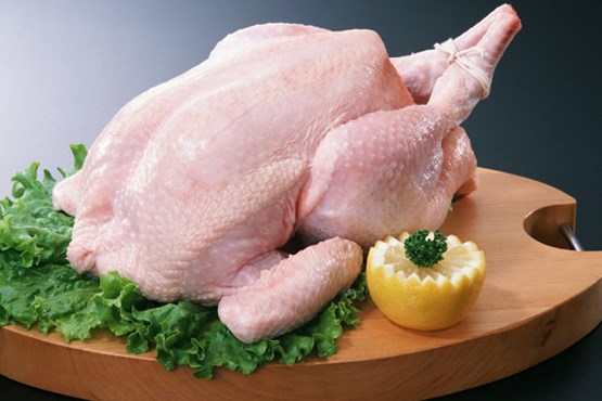 مرغ گران تر می شود؟!  / رئیس اتحادیه: مرغ های گوشتی مریض نشده اند اما قیمت باید تغییر کند!