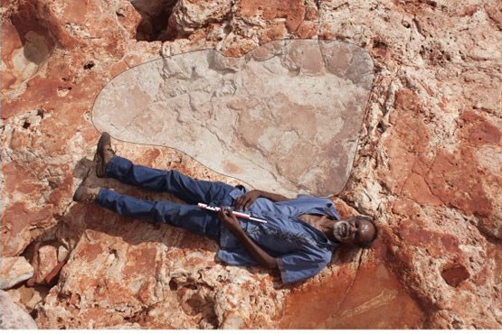 بزرگترین رد پای یک دایناسور کشف شد +عکس