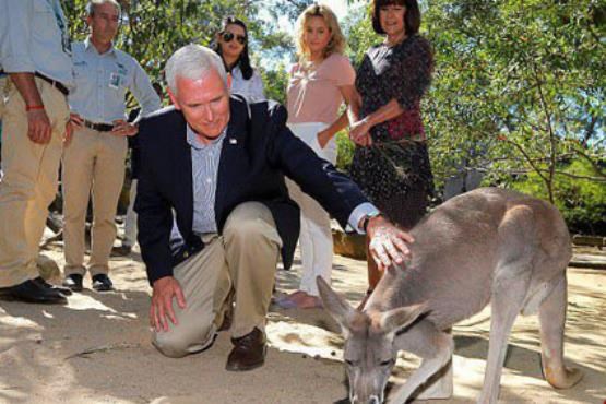 باغ‌ وحش‌ گردی معاون ترامپ در استرالیا+ عکس