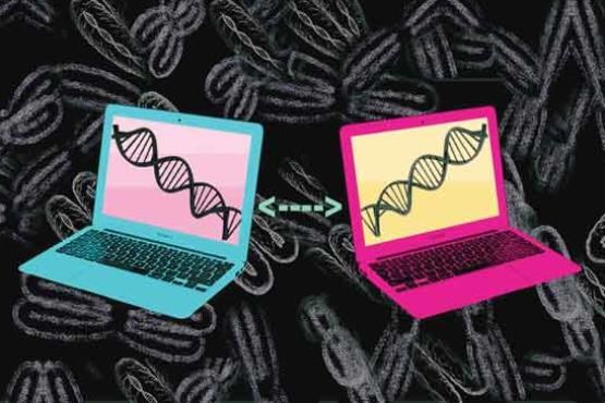 افشای DNA ؛ کابوس جدید در شبکه‌های اجتماعی