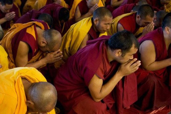 آدم هایی که برای رفع حاجت، از راهب بودایی توسری می‌خورند!