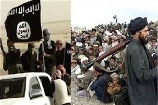 داعش کشتن طالبان را واجب اعلام کرد