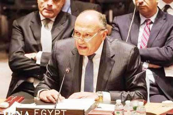 مصر رئیس  دوره ای شورای امنیت شد