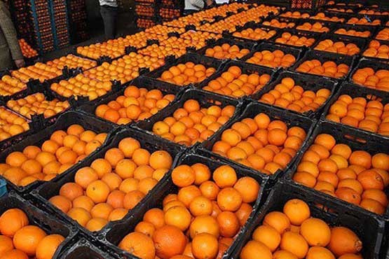 پرتقال‌های موجود در بازار رنگ می‌شوند؟