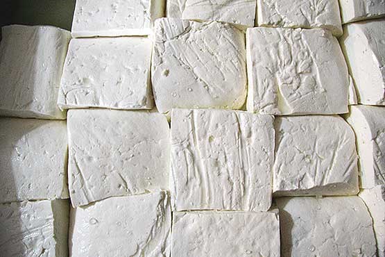 طالقان؛ قطب تولید پنیر محلی