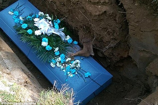 پای بیرون افتاده از قبر یک جنازه همه را وحشت زده کرد +تصاویر