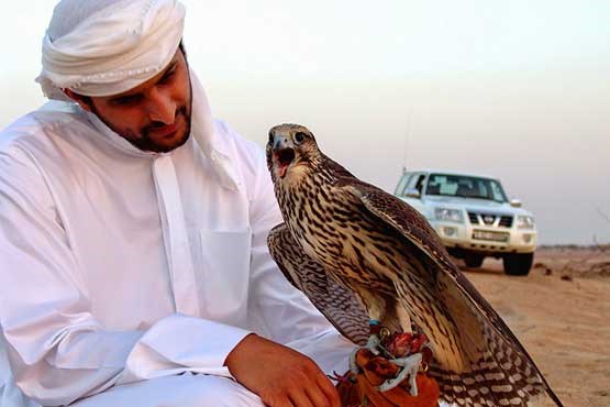 تفریحات شیوخ عرب با پرندگان ایرانی