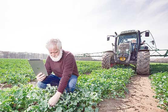 کشاورزی و دامداری دیجیتال می‌شود!