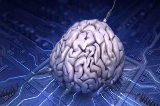دانشمندان برای نخستین بار مغز انسان را به اینترنت متصل کردند + عکس