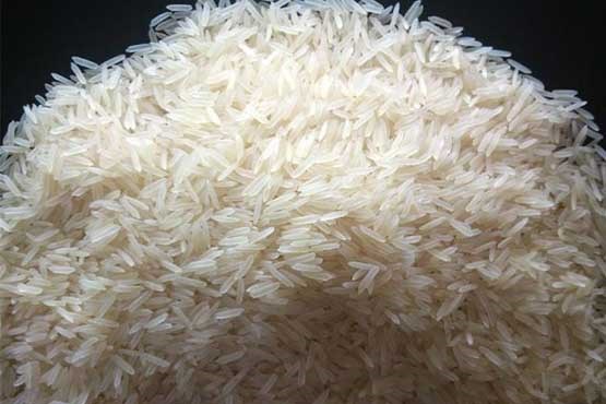 پرورش برنج ۲ متری در چین +عکس