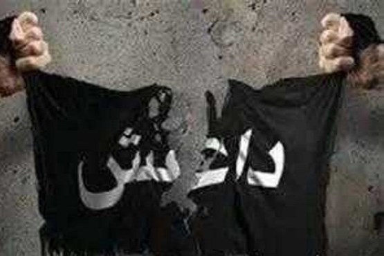 داعش سر ۳ عضو جبهه‌ النصره را برید