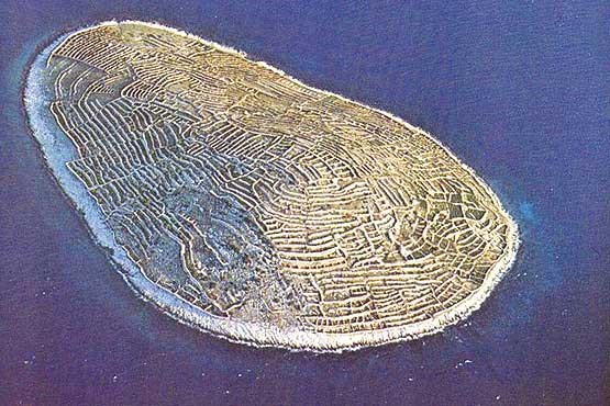 راز جزیره‌ای که شبیه اثر انگشت است+عکس