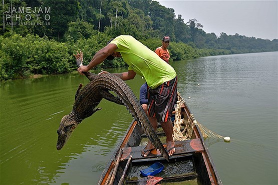 شکار و صید آبزیان جنگل آمازون