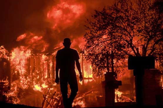تعداد قربانیان آتش سوزی در کالیفرنیا به ۴۰ نفر رسید