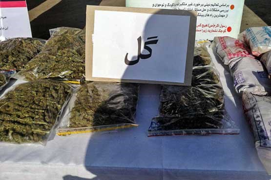 بازداشت سارق اماکن دولتی / کشف ۶ کیلوگرم «گل»