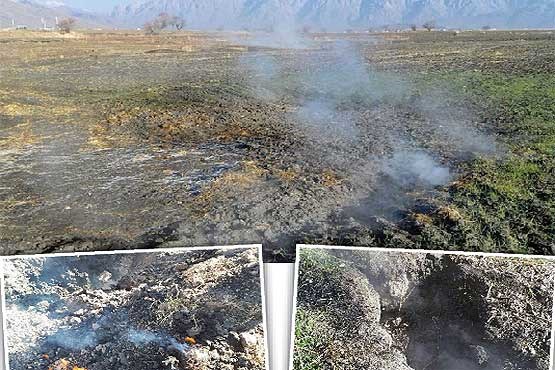مهار کامل آتش سوزی در جنگل های شهرستان چرام/ اعزام تیم های ارزیاب