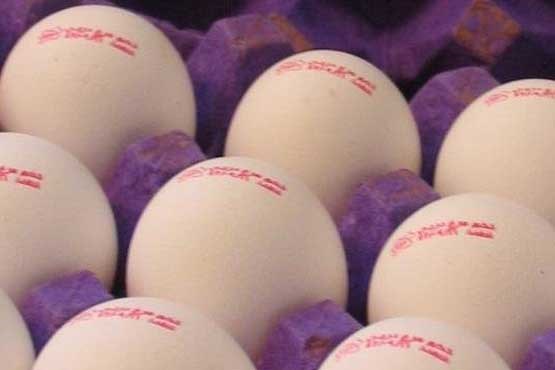 تخم‌ مرغ شانه‌ای ۱۲۶۰۰ و دانه‌ای ۴۲۰ تومان شد