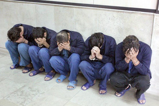 ۹۴ نفر از عاملان توزیع مشروبات الکلی در بندرعباس دستگیر شدند