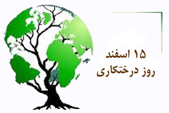 وضعیت درختان ایران (اینفوگرافیک)