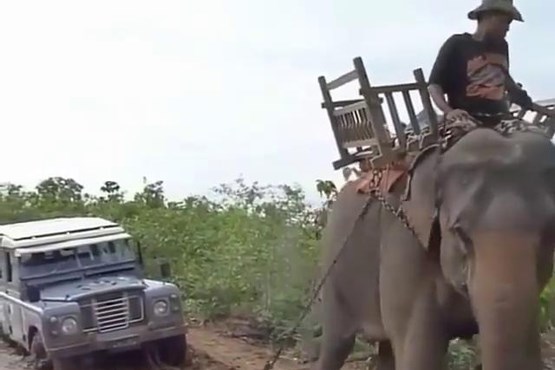 بکسل خودرو توسط فیل (فیلم)