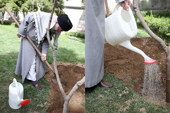 رهبر معظم انقلاب اسلامی دو اصله نهال میوه غرس کردند +عکس