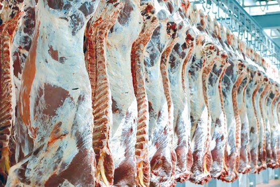 دلال گوشت در فارس ۵ میلیارد ریال جریمه شد