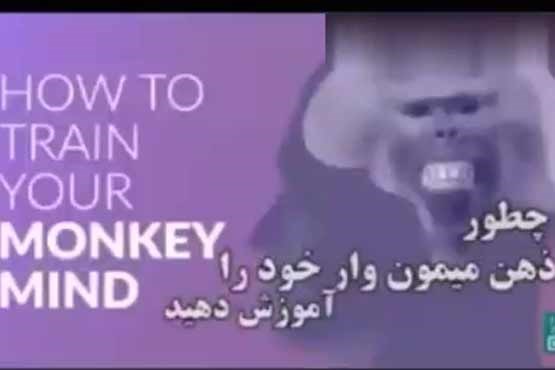 چطور ذهن میمون وار خود را آموزش دهیم