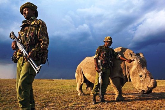 اعدام در انتظار شکارچیان کنیا + عکس