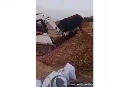 ماشین سنگین سپاه برای پر کردن گونی در مناطق سیل زده (فیلم)