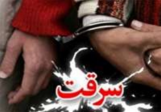 دستگیری 15 سارق در چهارمحال و بختیاری