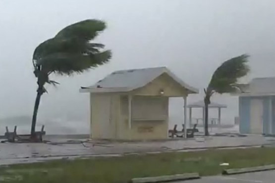اقدام عجیب یک آمریکایی قبل از وقوع توفان! +عکس