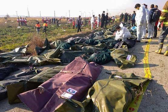 مراجعه ۱۳۰ نفر از بستگان حادثه سقوط هواپیما به پزشکی قانونی